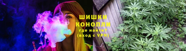 прущие крисы Сатка