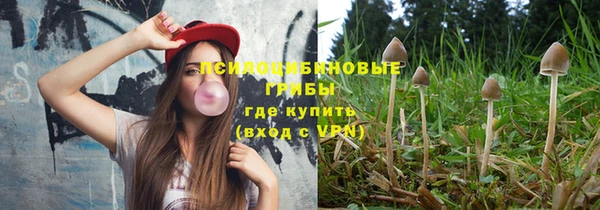 метадон Сафоново